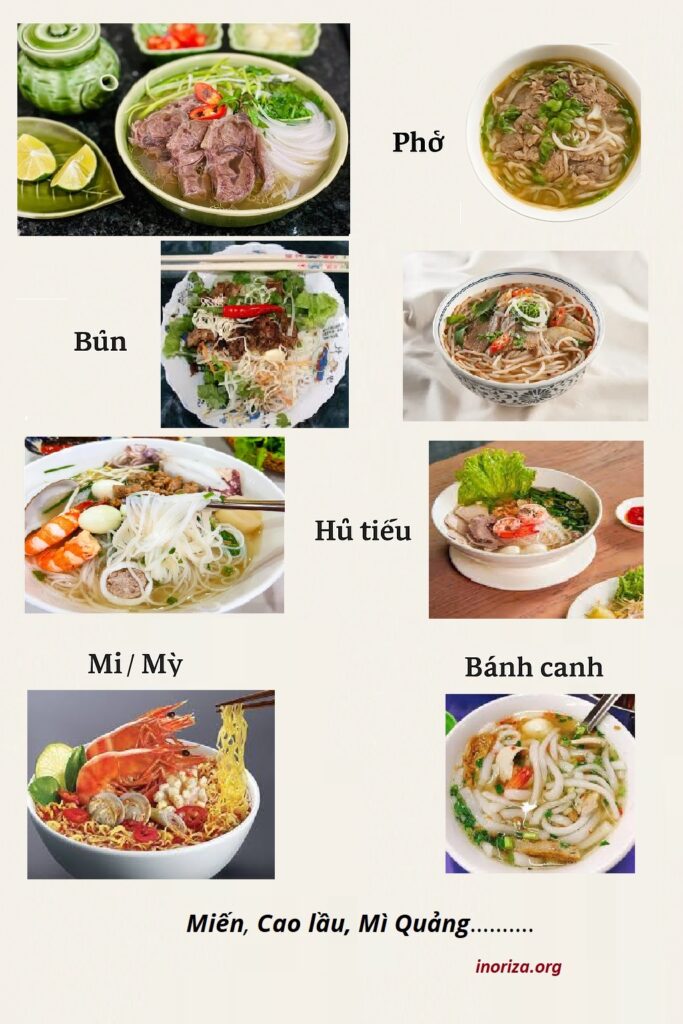 Vietnamese Noodle Guide by Juan Inoriza
